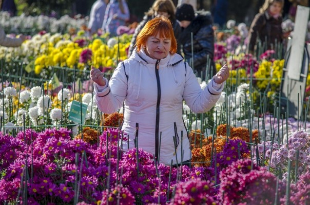 Последние краски осени. Крым.