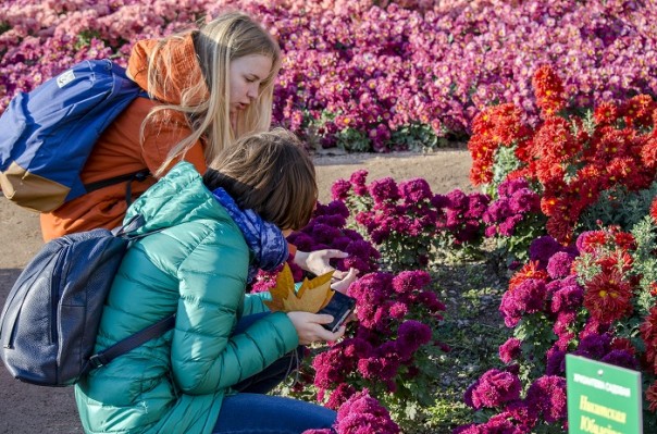 Последние краски осени. Крым.