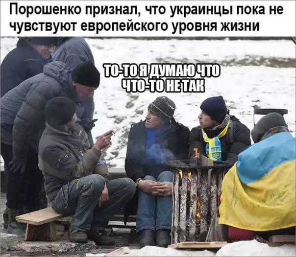 "Мыздобулы" в картинках. Смешных и не очень... 21-11-2016 "Мыздобулы" в картинках. Смешных и не очень... 21-11-2016