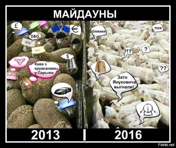 "Мыздобулы" в картинках. Смешных и не очень... 21-11-2016 "Мыздобулы" в картинках. Смешных и не очень... 21-11-2016