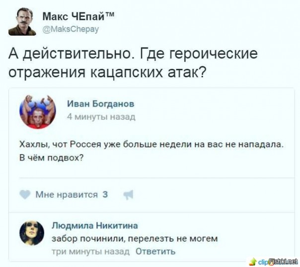 "Мыздобулы" в картинках. Смешных и не очень... 21-11-2016 "Мыздобулы" в картинках. Смешных и не очень... 21-11-2016