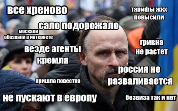 "Мыздобулы" в картинках. Смешных и не очень... 23-11-2016 "Мыздобулы" в картинках. Смешных и не очень... 23-11-2016