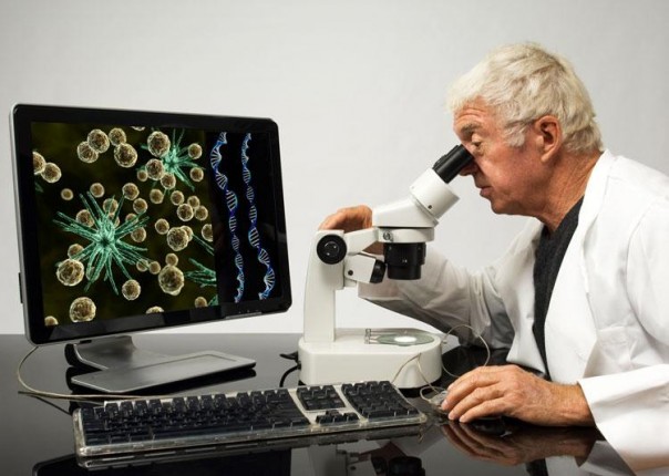 Наследие Розенберга: Донбасс – генетически неполноценный регион?