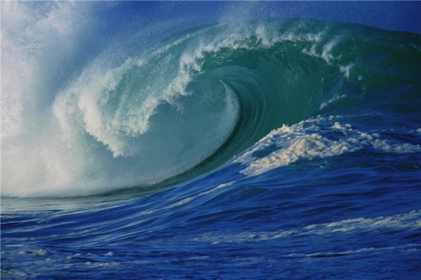 Что на этот раз придумало Минобороны РФ?