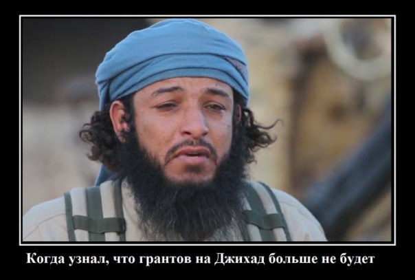 "Мыздобулы" в картинках. Смешных и не очень... 25-11-2016 "Мыздобулы" в картинках. Смешных и не очень... 25-11-2016