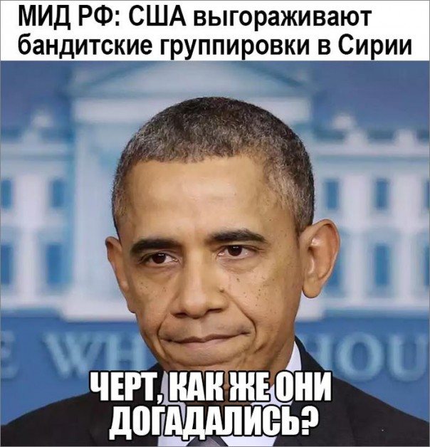 "Мыздобулы" в картинках. Смешных и не очень... 25-11-2016 "Мыздобулы" в картинках. Смешных и не очень... 25-11-2016