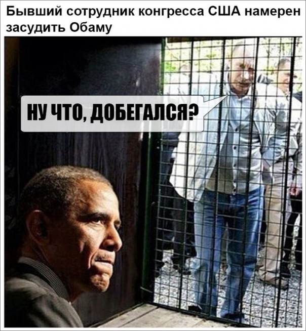 "Мыздобулы" в картинках. Смешных и не очень... 25-11-2016 "Мыздобулы" в картинках. Смешных и не очень... 25-11-2016