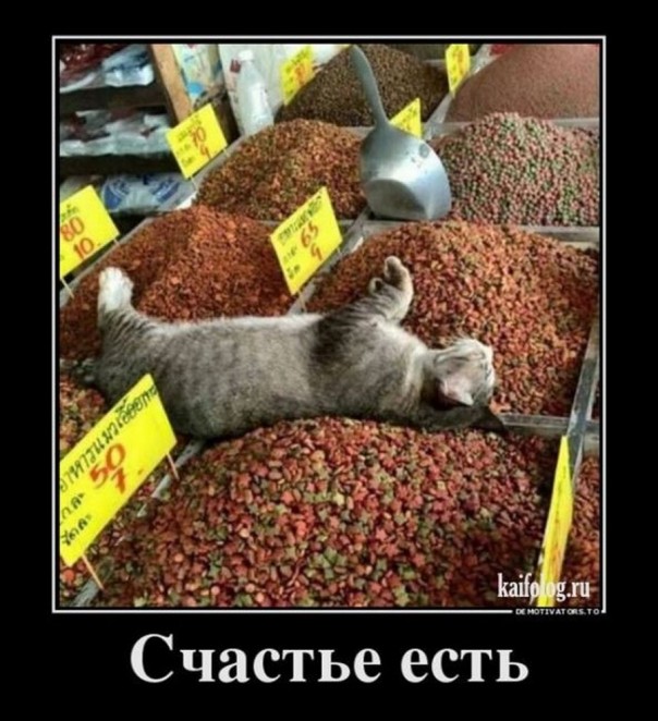 Приколы (18+)