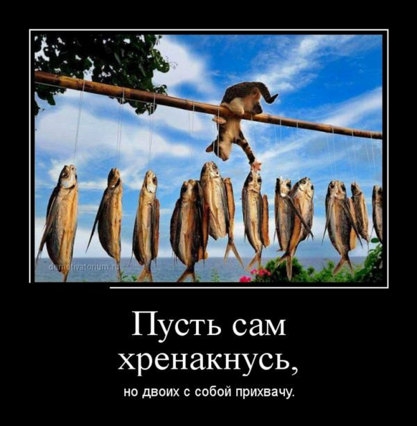 Приколы (18+)