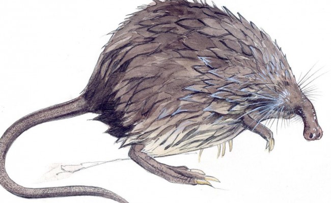 Самые страшные создания на Земле Самые страшные создания на Земле