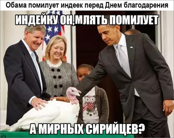 "Мыздобулы" в картинках. Смешных и не очень... 27-11-2016 "Мыздобулы" в картинках. Смешных и не очень... 27-11-2016