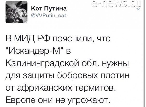 "Мыздобулы" в картинках. Смешных и не очень... 29-11-2016 "Мыздобулы" в картинках. Смешных и не очень... 29-11-2016