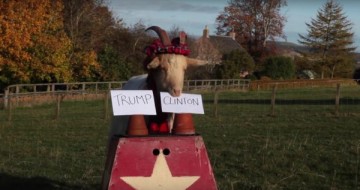 Животные, которые уже сделали свой выбор: кто станет новым президентом США?