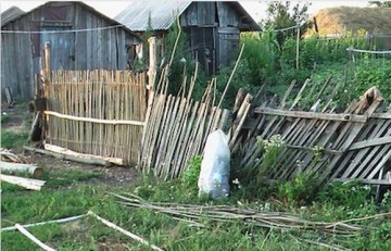 Русская тень на украинский плетень