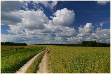Эх вы, русские дороги, три загиба на версту!