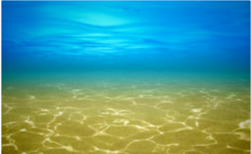 Украина в огне? Украина на дне.