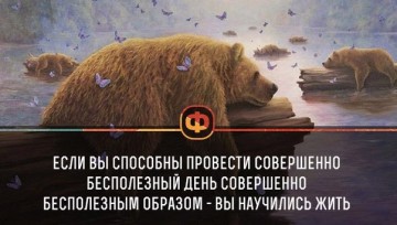 Интересные факты 4