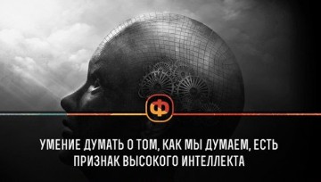 Интересные факты 4