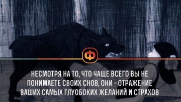 Интересные факты 4