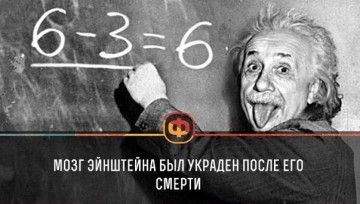 Интересные факты 4