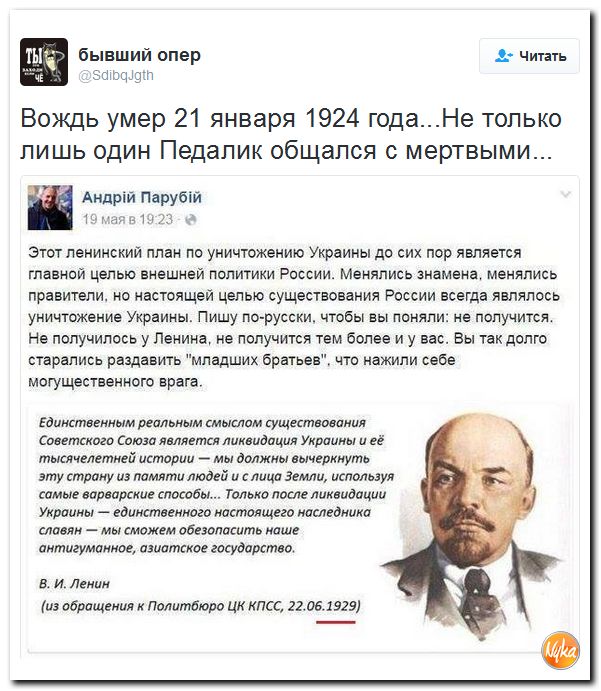 "Мыздобулы" в картинках. Смешных и не очень... 30-11-2016