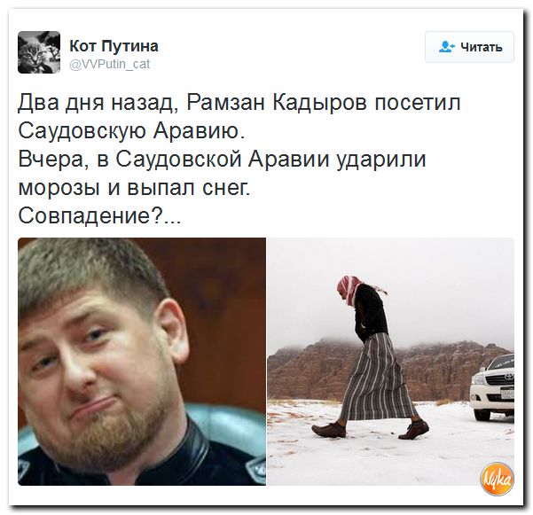 "Мыздобулы" в картинках. Смешных и не очень... 30-11-2016