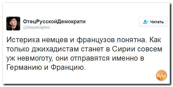 "Мыздобулы" в картинках. Смешных и не очень... 30-11-2016