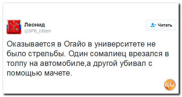 "Мыздобулы" в картинках. Смешных и не очень... 30-11-2016