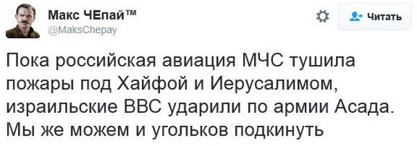 "Мыздобулы" в картинках. Смешных и не очень... 30-11-2016