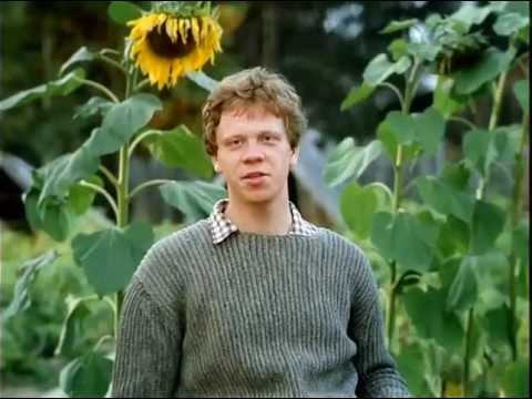 Плохую новость я вам принёс, скаклы! Сейчас у вас будет инфаркт микарда: Россия стала мировым лидером по числу шенгенских виз