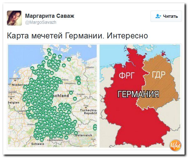 "Мыздобулы" в картинках. Смешных и не очень... 10-12-2016 "Мыздобулы" в картинках. Смешных и не очень... 10-12-2016