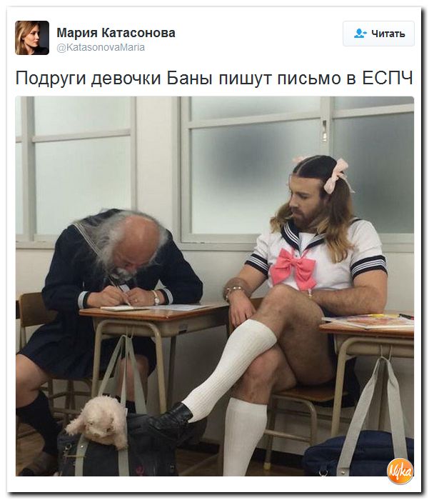 "Мыздобулы" в картинках. Смешных и не очень... 10-12-2016 "Мыздобулы" в картинках. Смешных и не очень... 10-12-2016