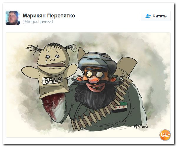 "Мыздобулы" в картинках. Смешных и не очень... 10-12-2016 "Мыздобулы" в картинках. Смешных и не очень... 10-12-2016