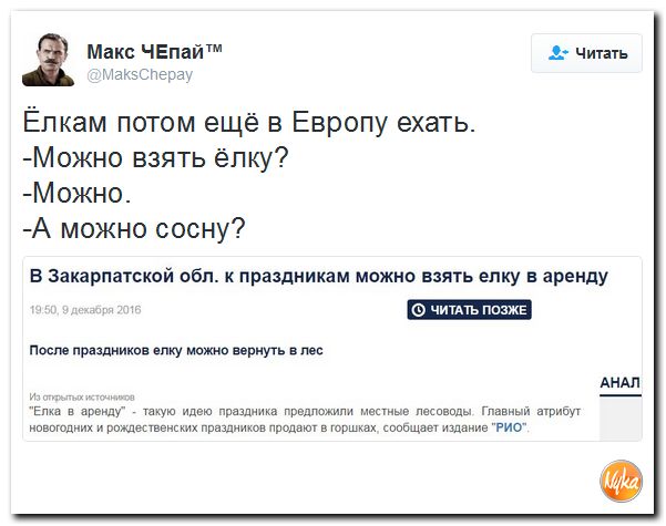 "Мыздобулы" в картинках. Смешных и не очень... 10-12-2016 "Мыздобулы" в картинках. Смешных и не очень... 10-12-2016