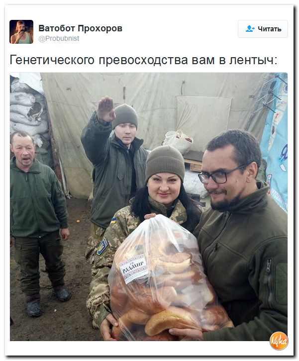 "Мыздобулы" в картинках. Смешных и не очень... 10-12-2016 "Мыздобулы" в картинках. Смешных и не очень... 10-12-2016