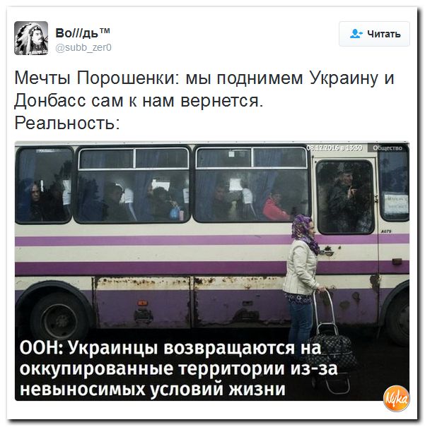 "Мыздобулы" в картинках. Смешных и не очень... 10-12-2016 "Мыздобулы" в картинках. Смешных и не очень... 10-12-2016