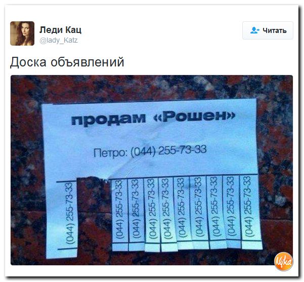 "Мыздобулы" в картинках. Смешных и не очень... 10-12-2016 "Мыздобулы" в картинках. Смешных и не очень... 10-12-2016