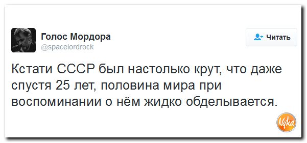 "Мыздобулы" в картинках. Смешных и не очень... 10-12-2016 "Мыздобулы" в картинках. Смешных и не очень... 10-12-2016
