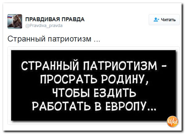 "Мыздобулы" в картинках. Смешных и не очень... 10-12-2016 "Мыздобулы" в картинках. Смешных и не очень... 10-12-2016