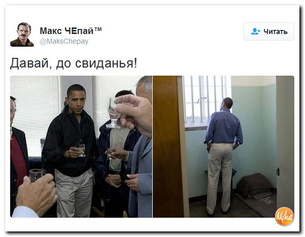 "Мыздобулы" в картинках. Смешных и не очень... 10-12-2016 "Мыздобулы" в картинках. Смешных и не очень... 10-12-2016