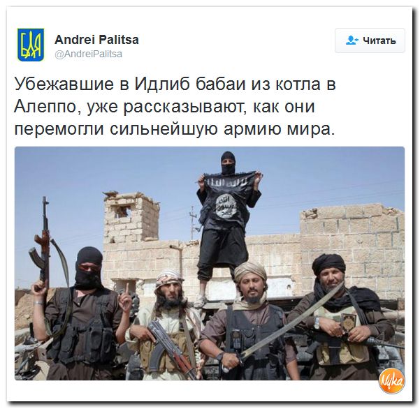 "Мыздобулы" в картинках. Смешных и не очень... 10-12-2016 "Мыздобулы" в картинках. Смешных и не очень... 10-12-2016