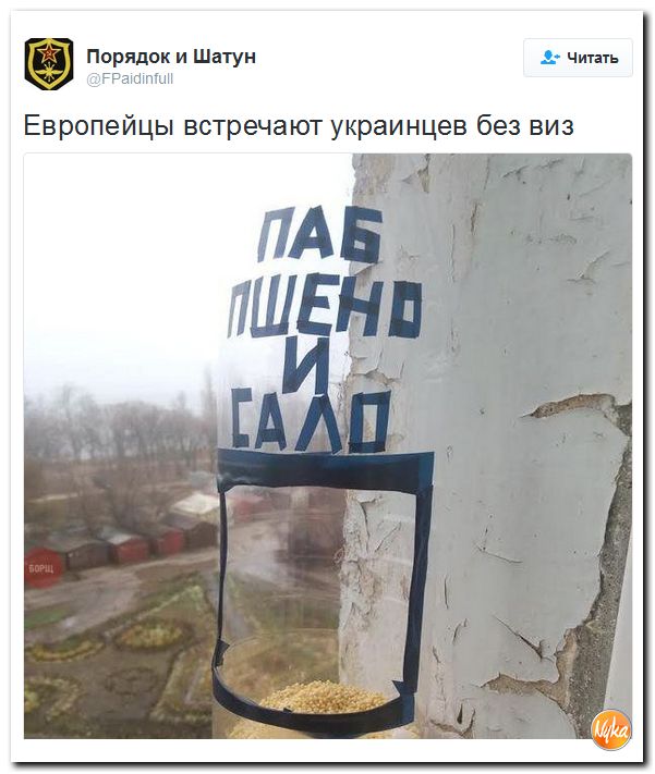 "Мыздобулы" в картинках. Смешных и не очень... 10-12-2016 "Мыздобулы" в картинках. Смешных и не очень... 10-12-2016