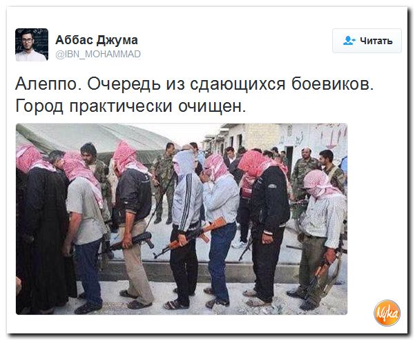 "Мыздобулы" в картинках. Смешных и не очень... 10-12-2016 "Мыздобулы" в картинках. Смешных и не очень... 10-12-2016