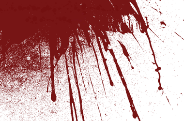 В Харьковской области собака принесла хозяину часть тела промберга