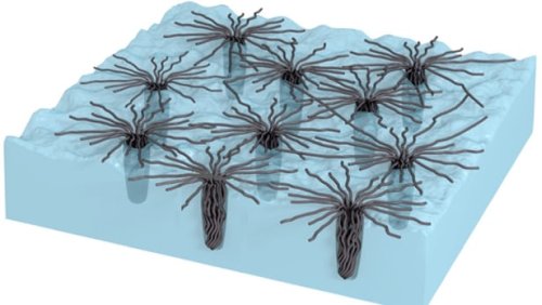 Новая подборка новостей мира науки и техники 11-12-2016