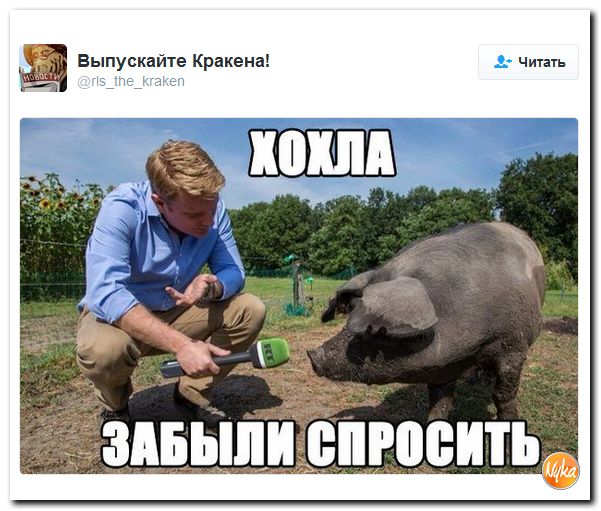 "Мыздобулы" в картинках. Смешных и не очень... 12-12-2016