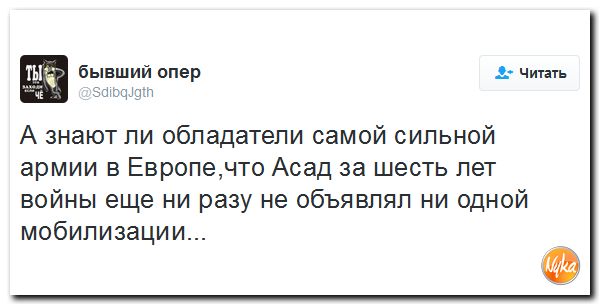 "Мыздобулы" в картинках. Смешных и не очень... 13-12-2016 "Мыздобулы" в картинках. Смешных и не очень... 13-12-2016