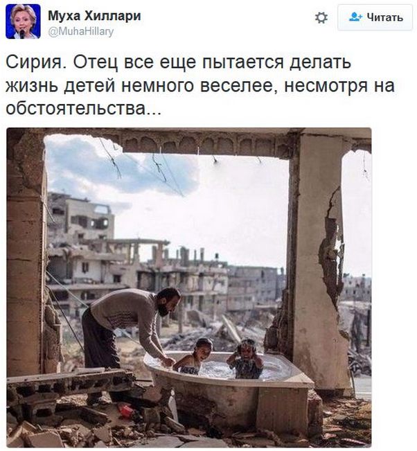 "Мыздобулы" в картинках. Смешных и не очень... 13-12-2016 "Мыздобулы" в картинках. Смешных и не очень... 13-12-2016