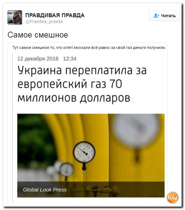 "Мыздобулы" в картинках. Смешных и не очень... 13-12-2016 "Мыздобулы" в картинках. Смешных и не очень... 13-12-2016