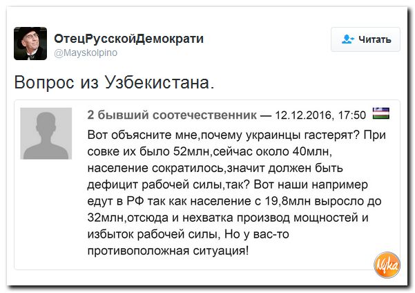 "Мыздобулы" в картинках. Смешных и не очень... 13-12-2016 "Мыздобулы" в картинках. Смешных и не очень... 13-12-2016